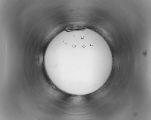 X0000089860118200707262136