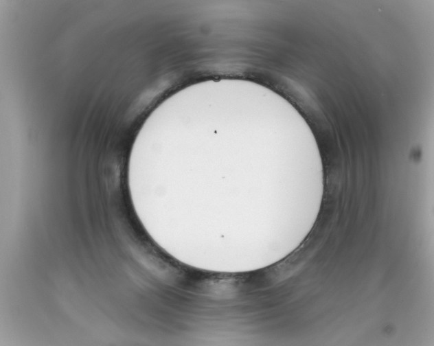 X0000089860120200707262136