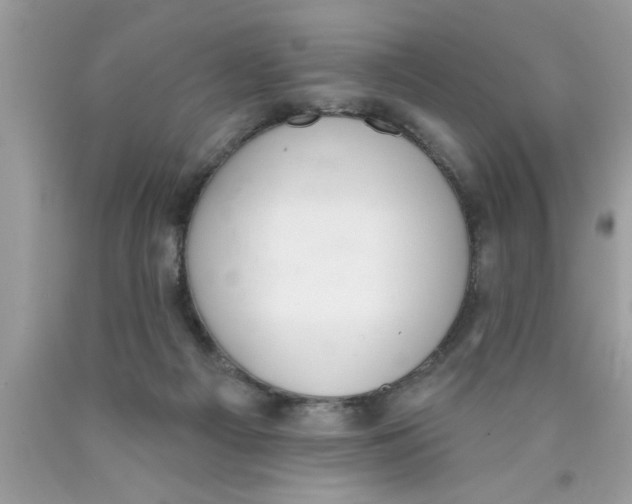 X0000089860121200707262136
