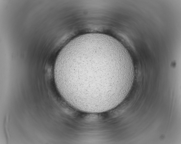 X0000089860123200707262136