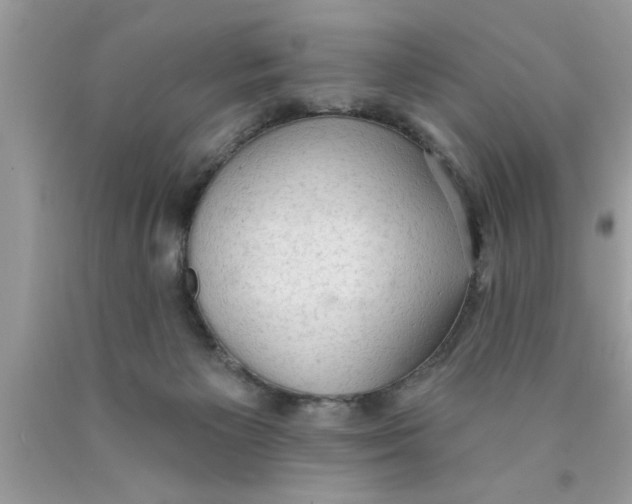 X0000089860125200707262136