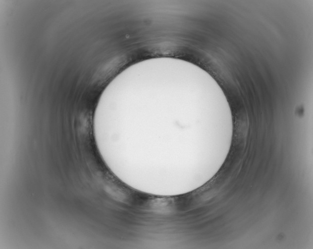 X0000089860126200707262136