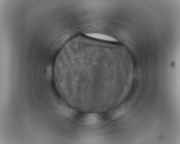X0000089860127200707262136