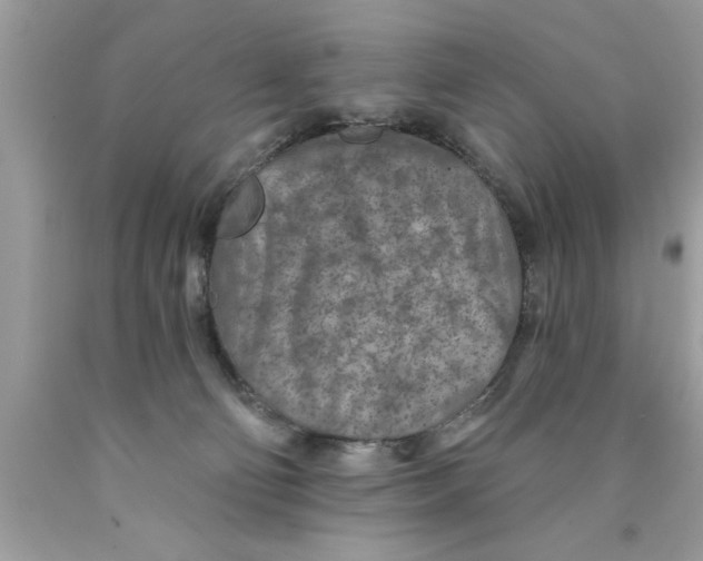 X0000089860130200707262136