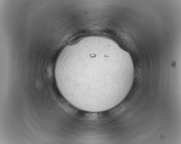 X0000089860131200707262136