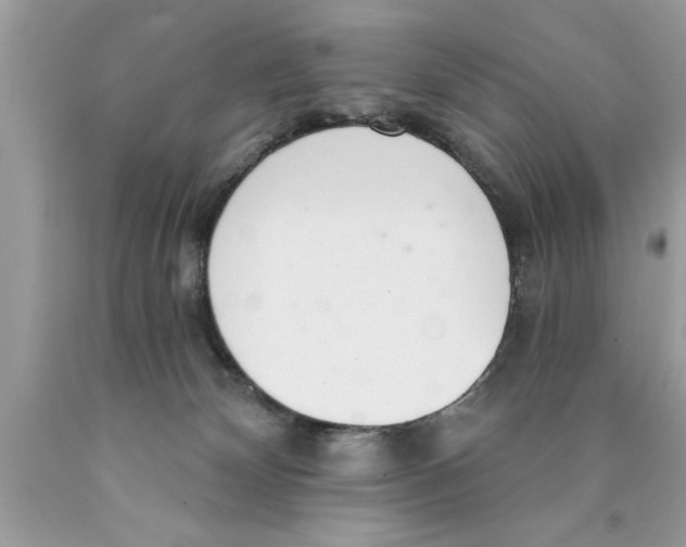 X0000089860132200707262136