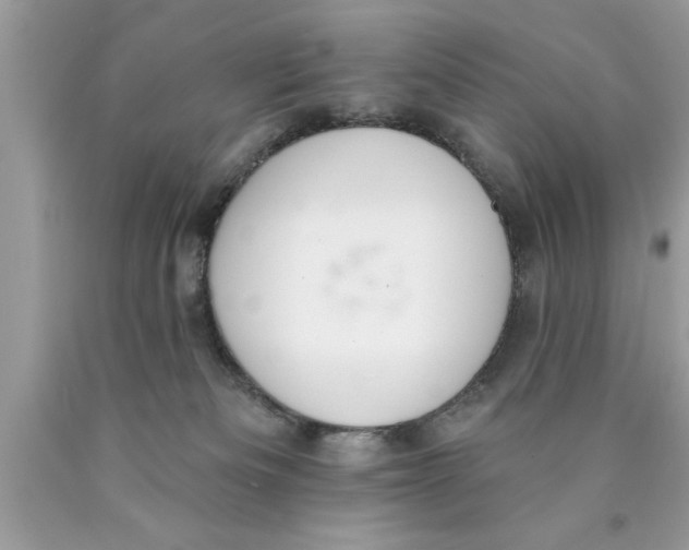 X0000089860133200707262136