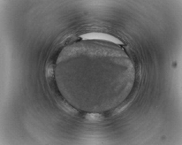 X0000089860137200707262136