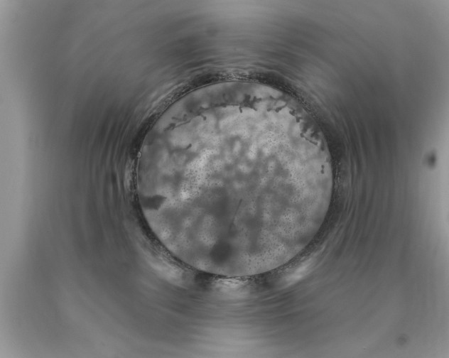 X0000089860139200707262136