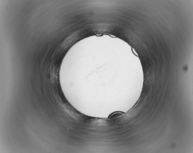 X0000089860140200707262136