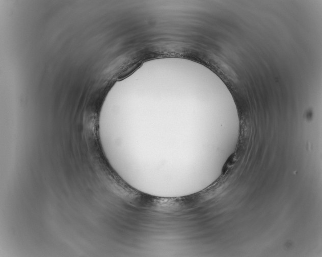 X0000089860141200707262136