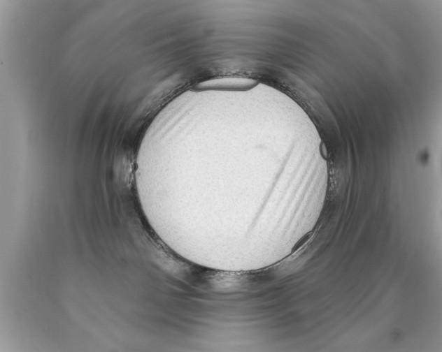 X0000089860142200707262136