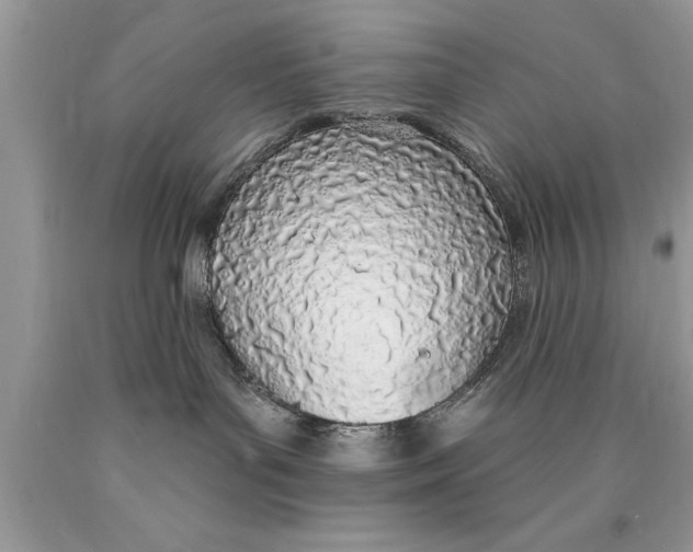 X0000089860143200707262136