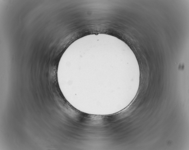 X0000089860144200707262136