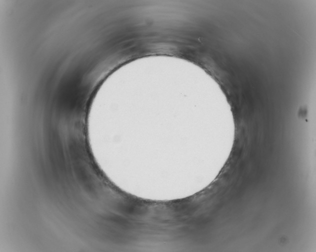 X0000089860146200707262135
