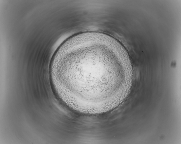 X0000089860147200707262135