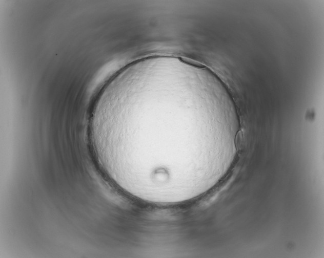 X0000089860149200707262135