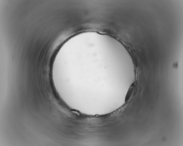 X0000089860150200707262135