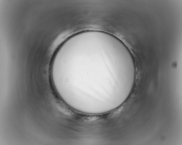 X0000089860151200707262135