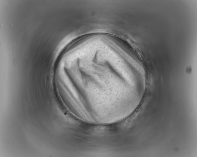 X0000089860152200707262135