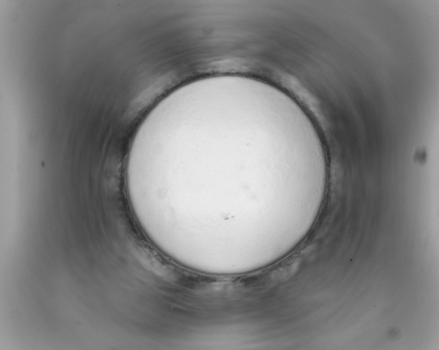 X0000089860153200707262135