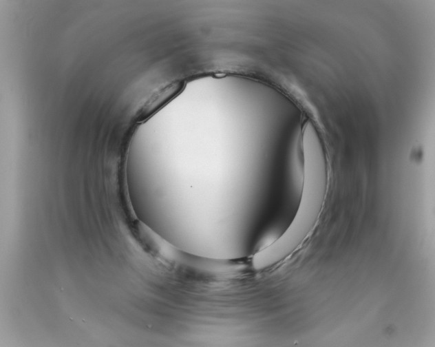 X0000089860154200707262135