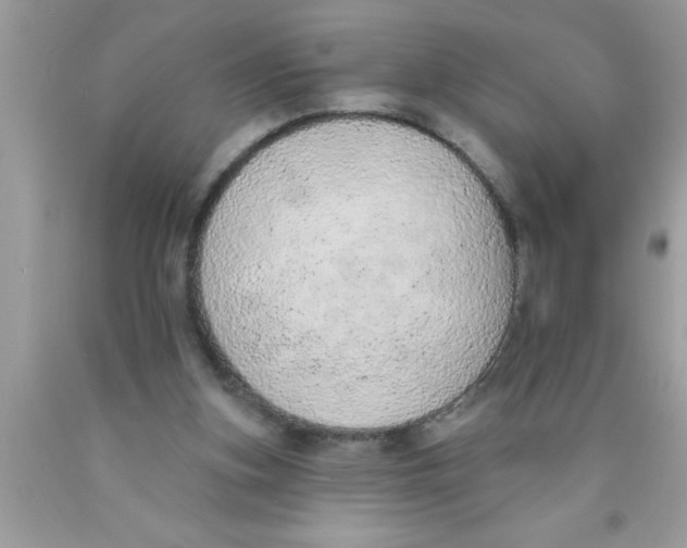 X0000089860155200707262135