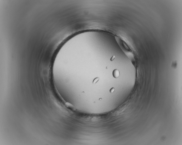 X0000089860156200707262135