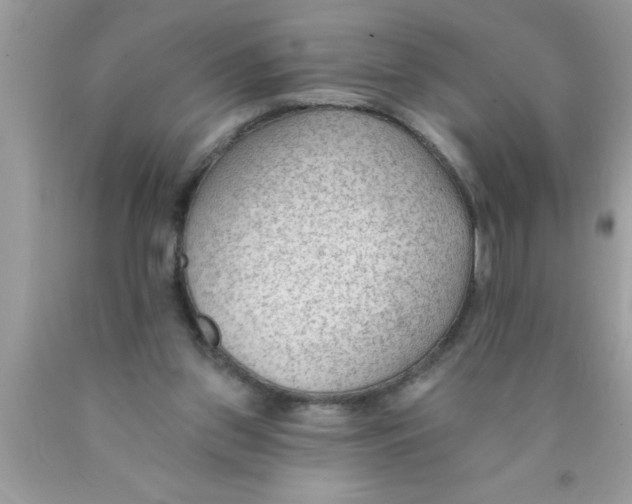 X0000089860157200707262135