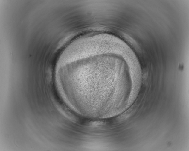 X0000089860158200707262135