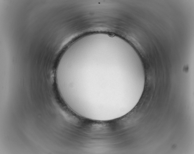 X0000089860160200707262136