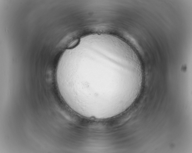 X0000089860161200707262136