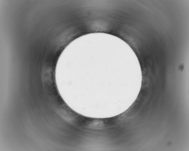 X0000089860162200707262136