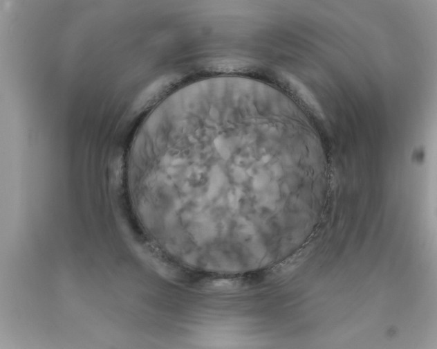 X0000089860163200707262136