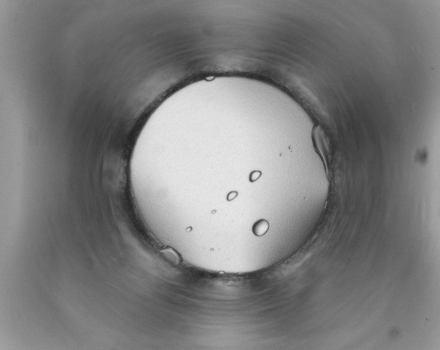 X0000089860164200707262136