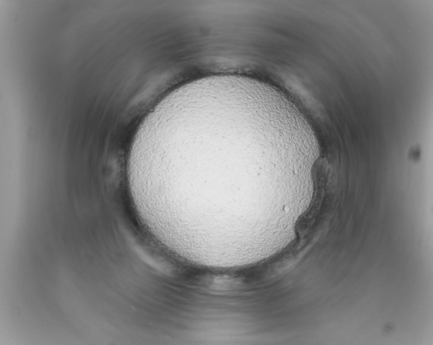 X0000089860165200707262136