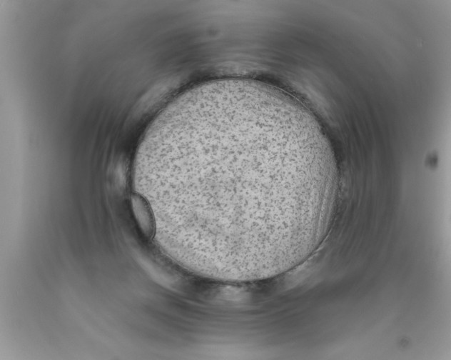 X0000089860166200707262136