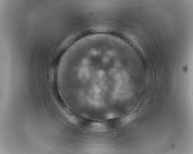X0000089860167200707262136
