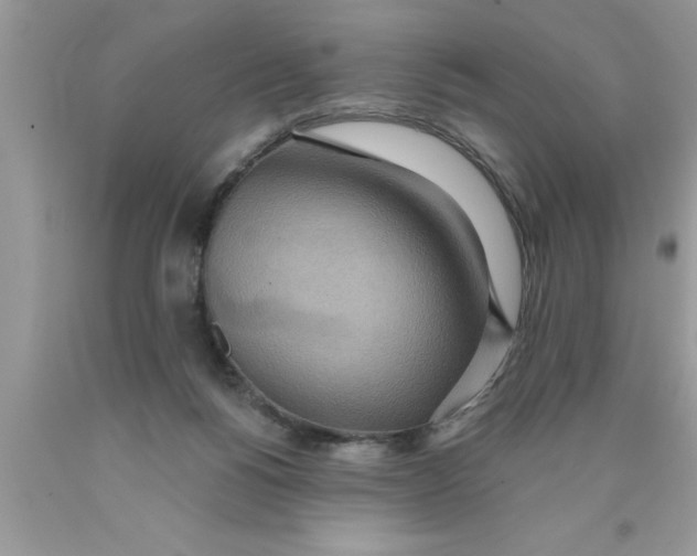 X0000089860168200707262136