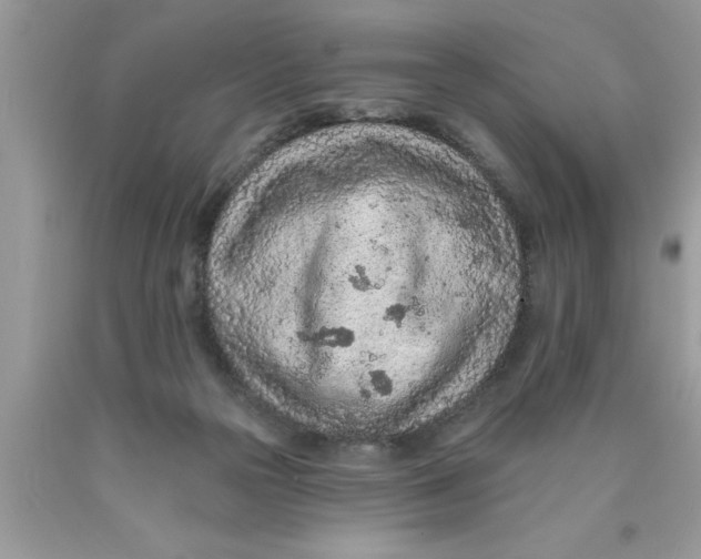 X0000089860169200707262136