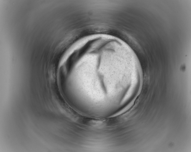 X0000089860170200707262136