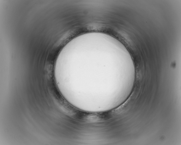 X0000089860171200707262136