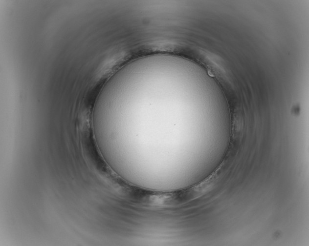 X0000089860172200707262136