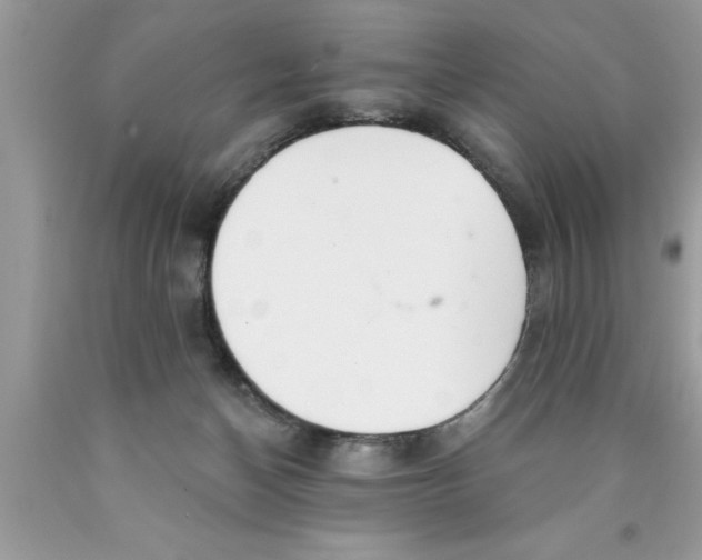 X0000089860174200707262136