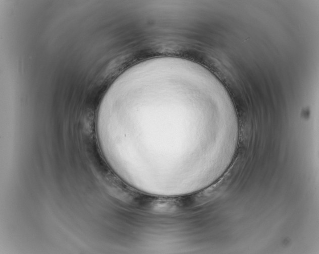 X0000089860175200707262136