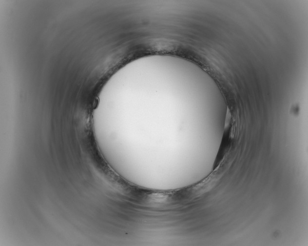 X0000089860176200707262136