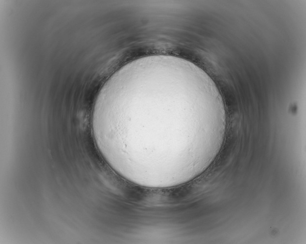X0000089860177200707262136