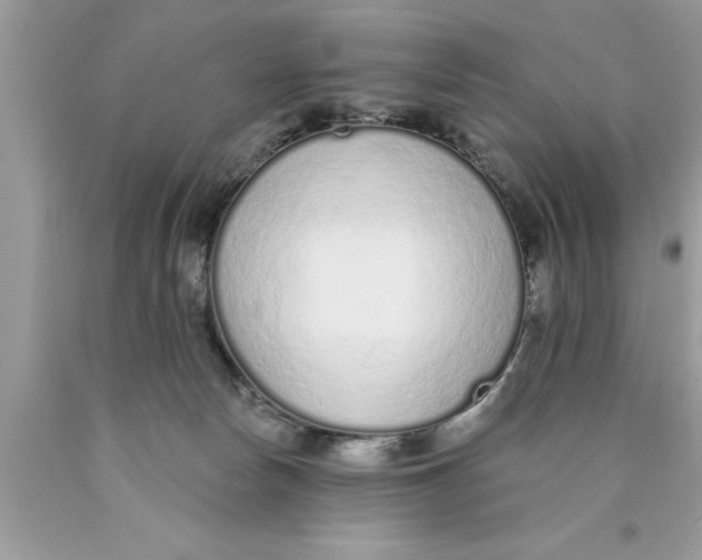 X0000089860178200707262136