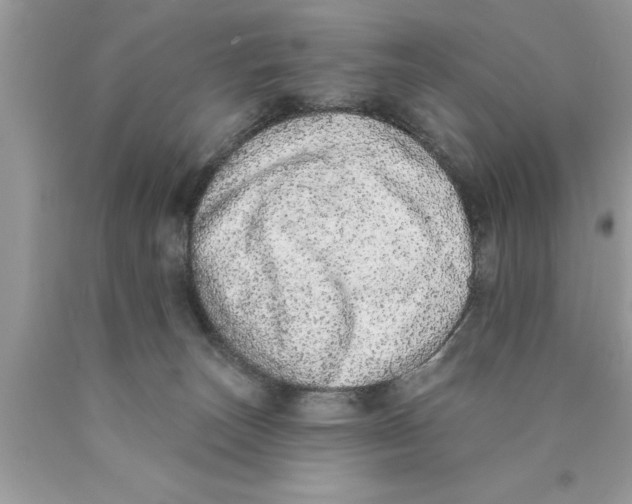 X0000089860179200707262136
