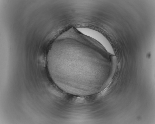 X0000089860180200707262136